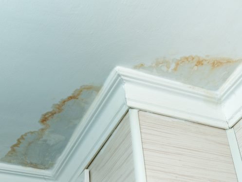 water stain on ceiling